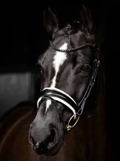 LeMieux Kudos Patent Dressage Bridle
