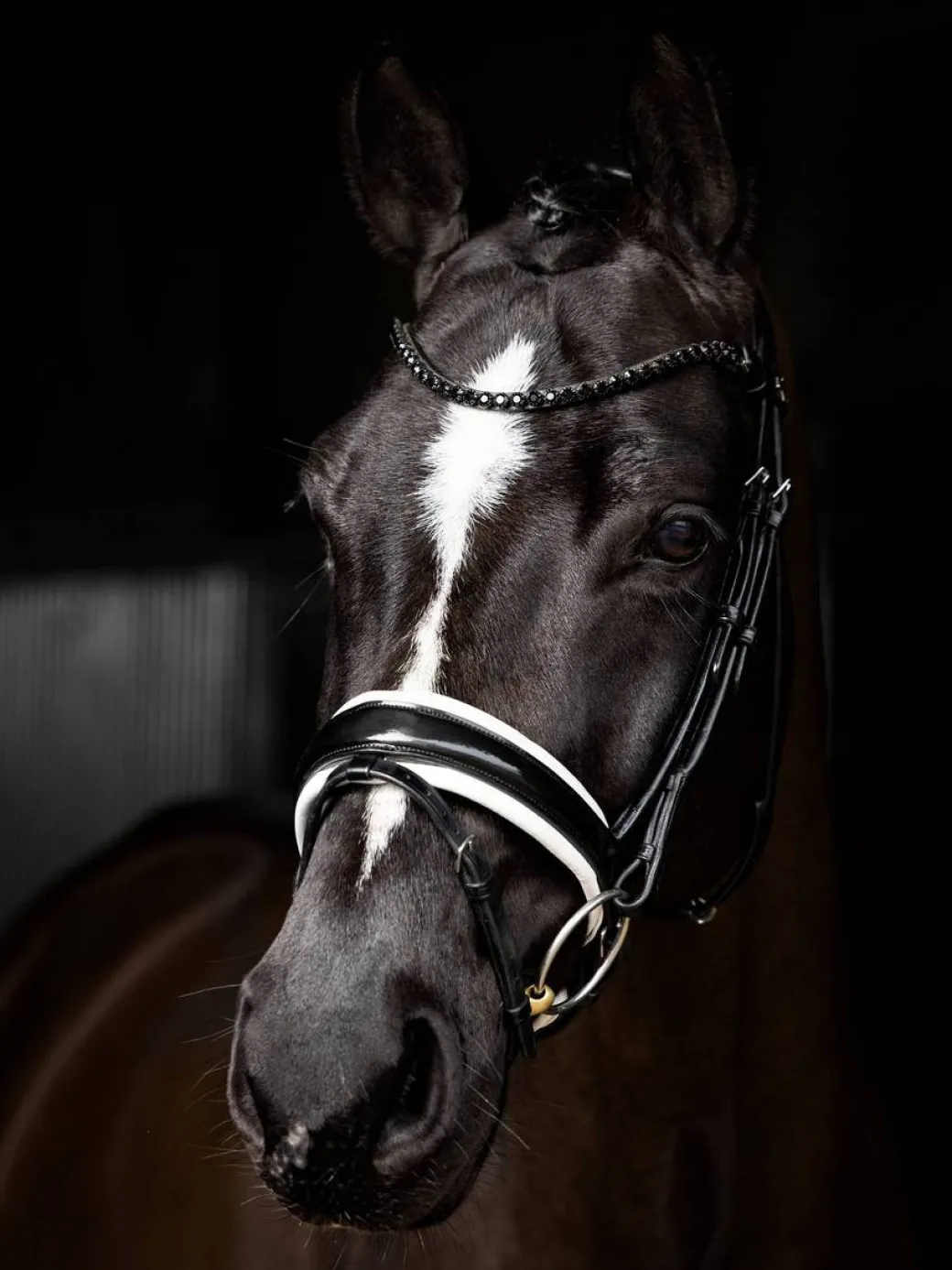 LeMieux Kudos Patent Dressage Bridle