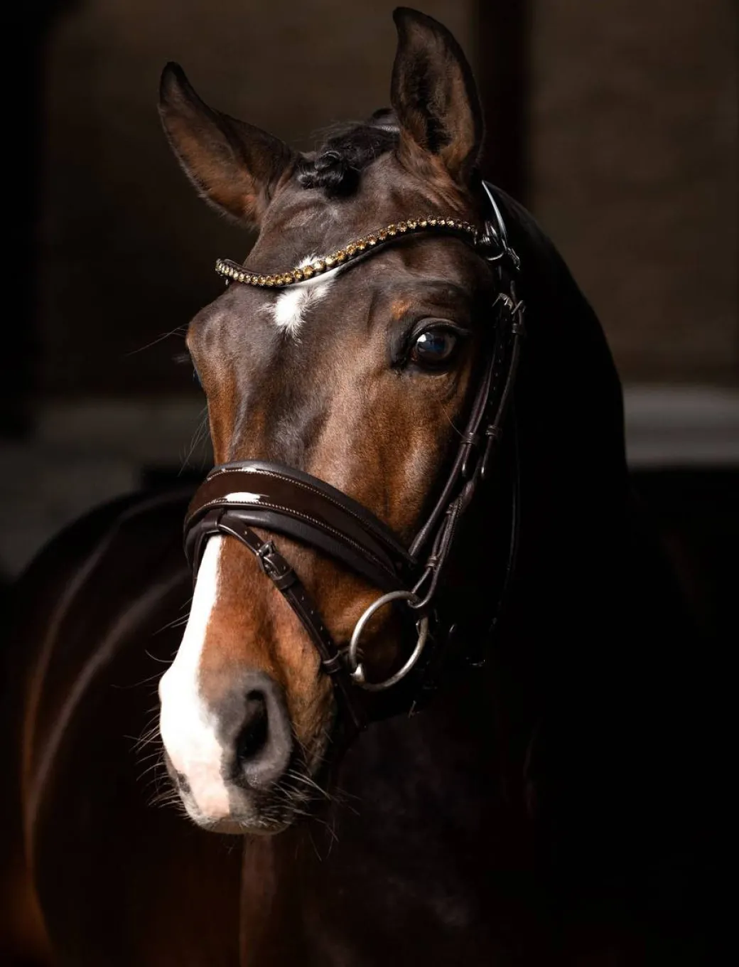 LeMieux Kudos Patent Dressage Bridle