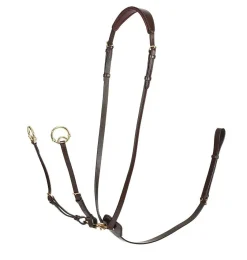LeMieux Kudos Running Martingale