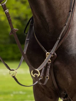 LeMieux Kudos Running Martingale