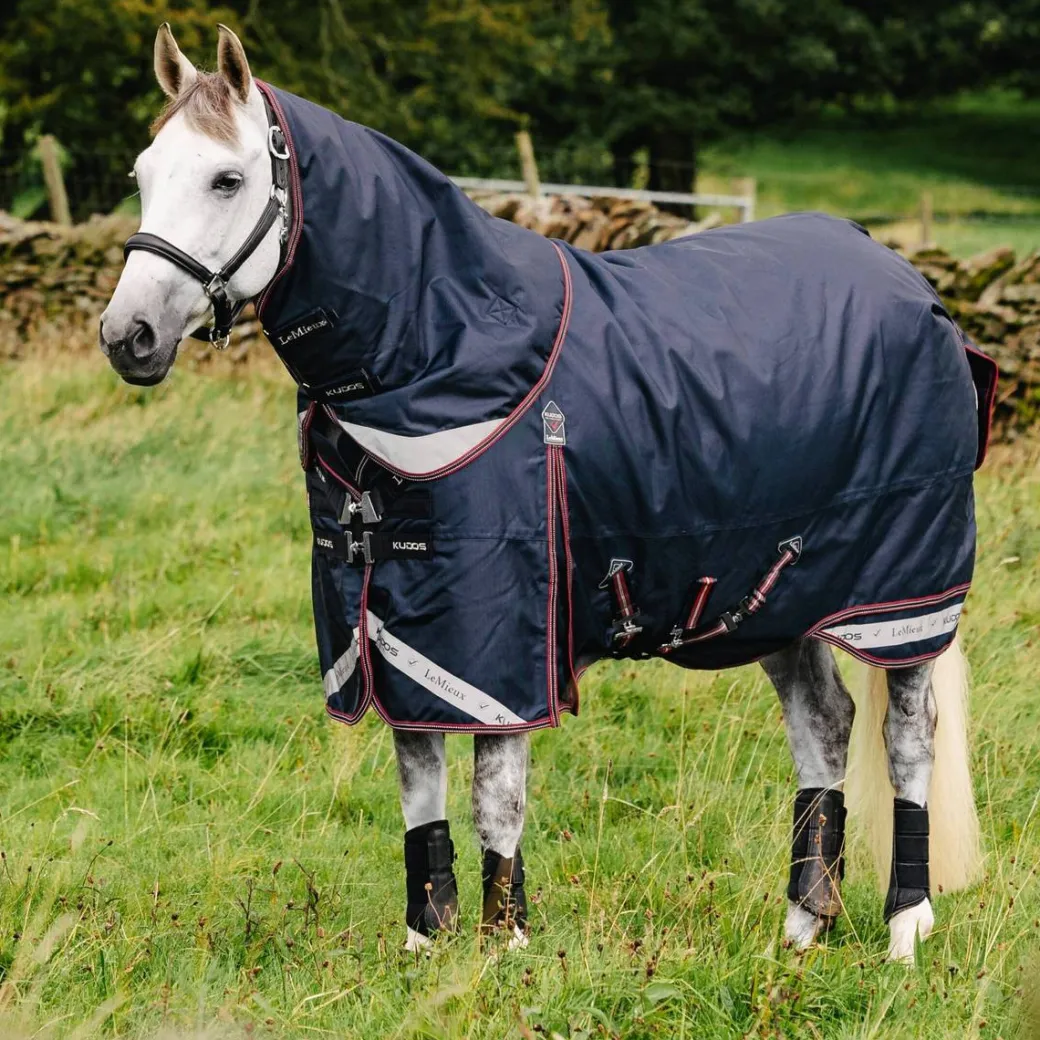 LeMieux Kudos Turnout Blanket 100g