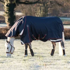 LeMieux Kudos Turnout Blanket 100g