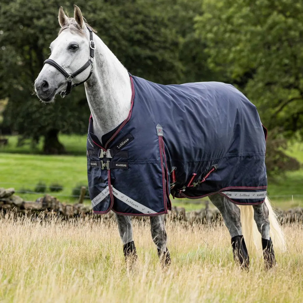 LeMieux Kudos Turnout Blanket 100g