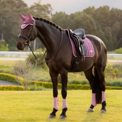LeMieux Loire Classic Dressage Square Pad SP26