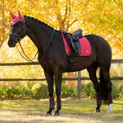 LeMieux Loire Classic Dressage Square Pad AW25