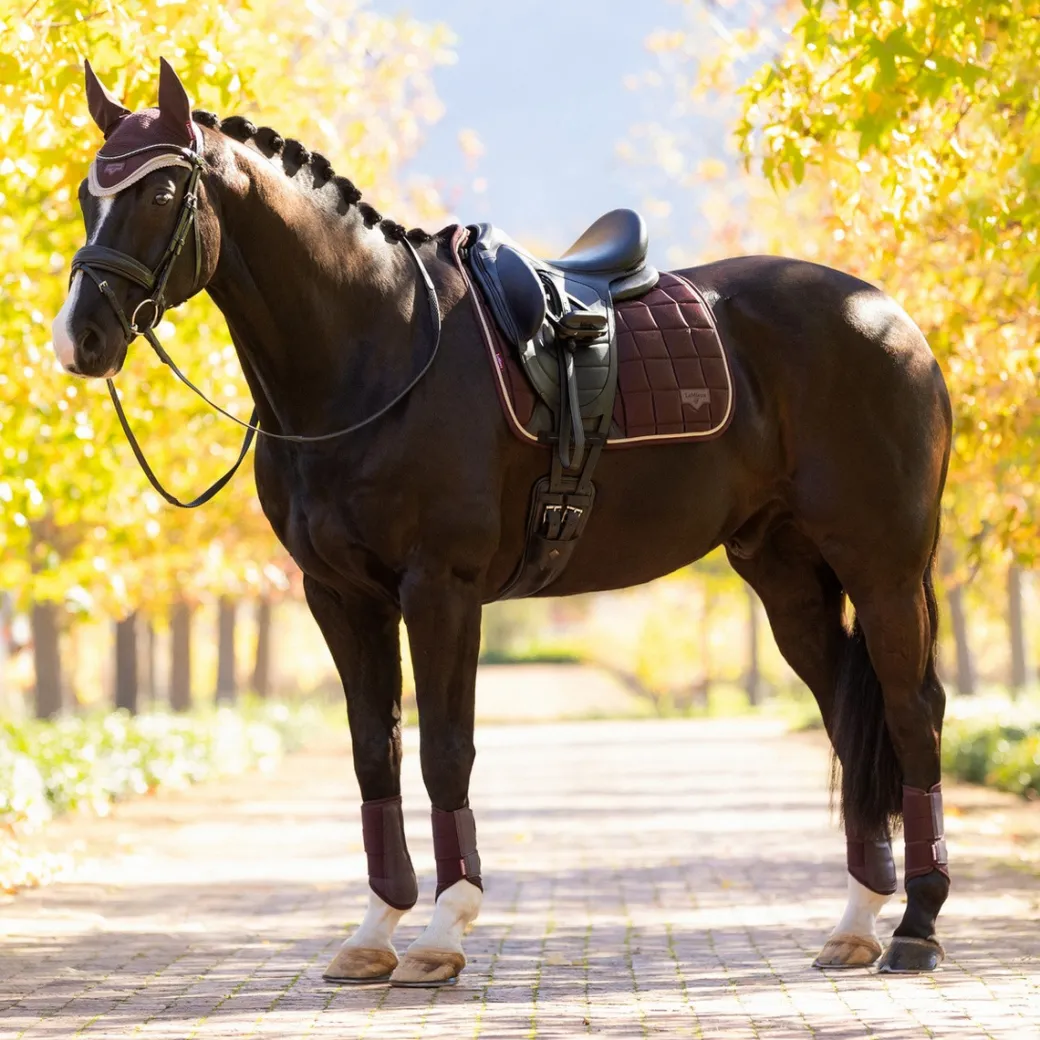 LeMieux Loire Classic Dressage Square Pad AW25