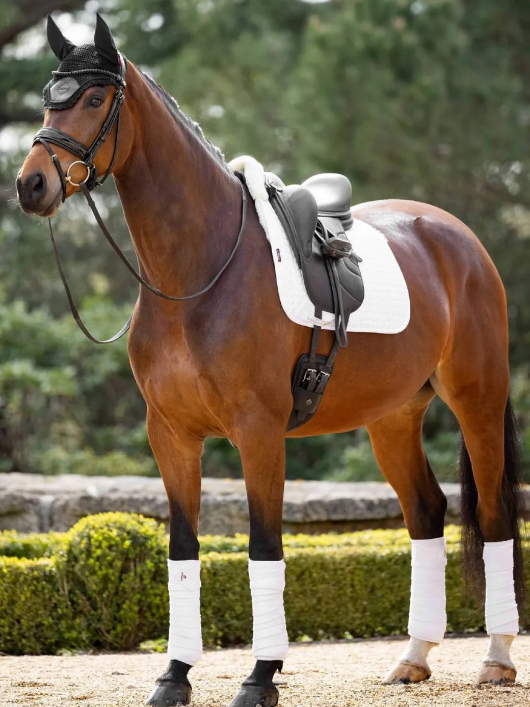 LeMieux Merino+ Half Lined Dressage Square Pad