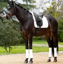 LeMieux Merino+ Half Lined Suede Dressage Pad
