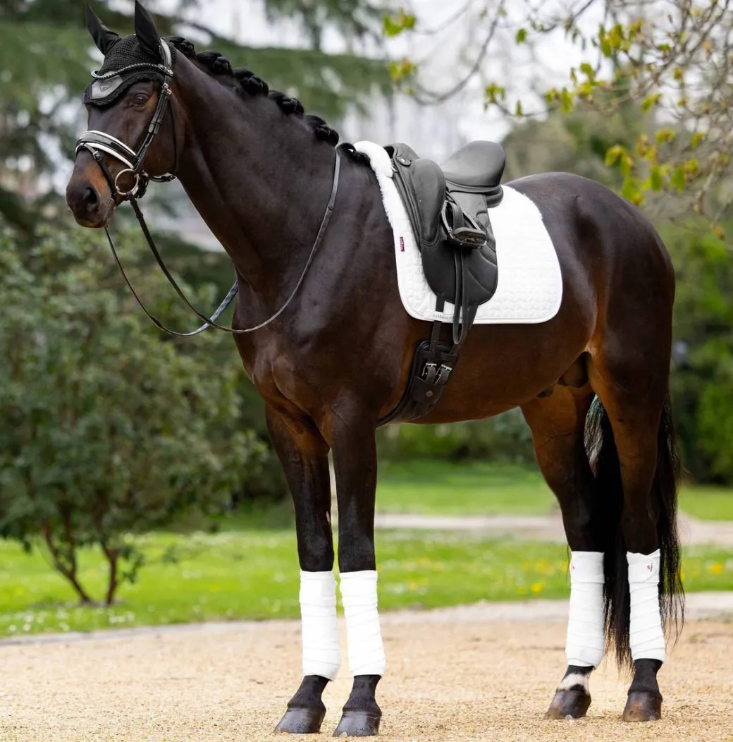 LeMieux Merino+ Half Lined Suede Dressage Pad