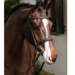 LeMieux Stitched Hunter Bridle with Reins