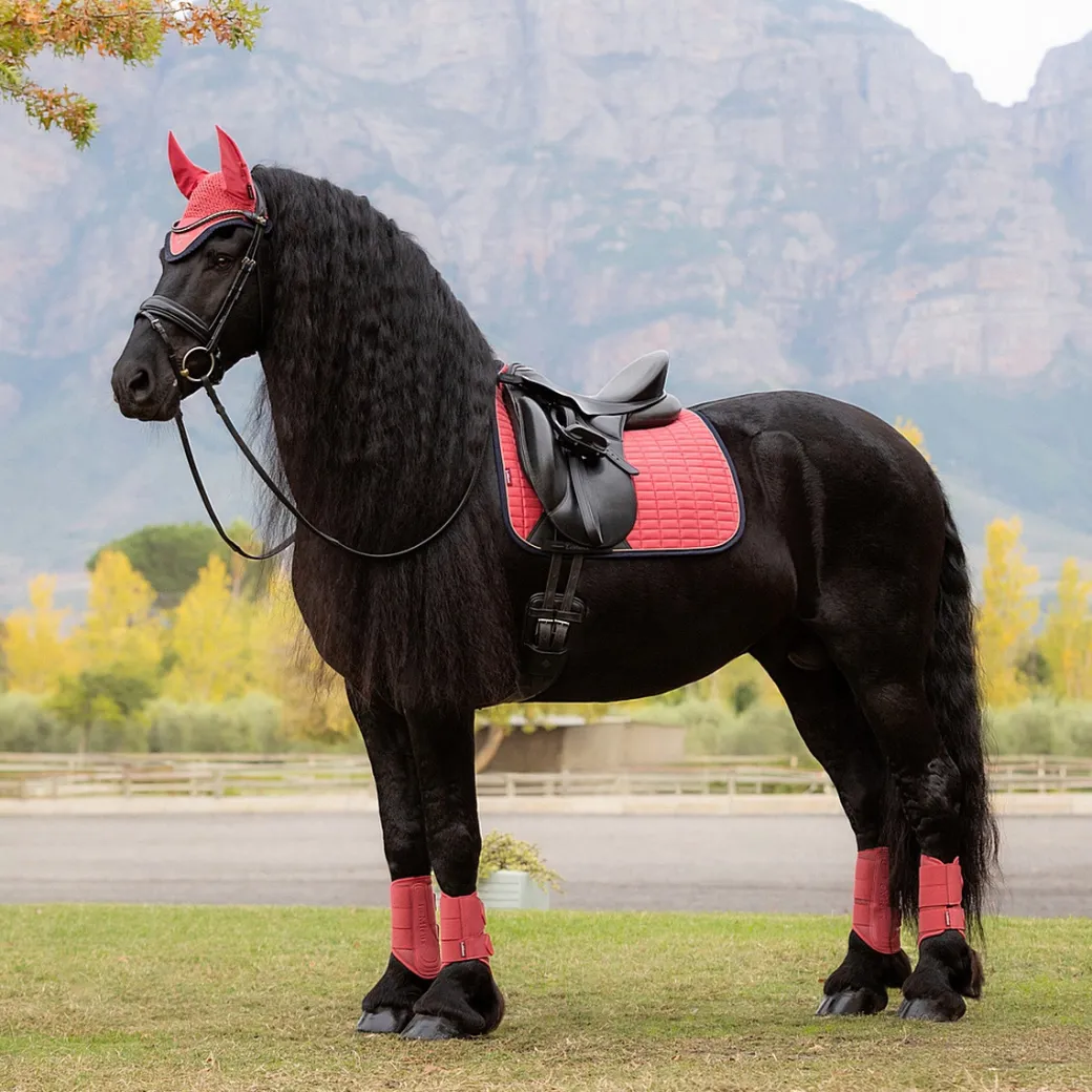 LeMieux Suede Dressage Square Pad AW25