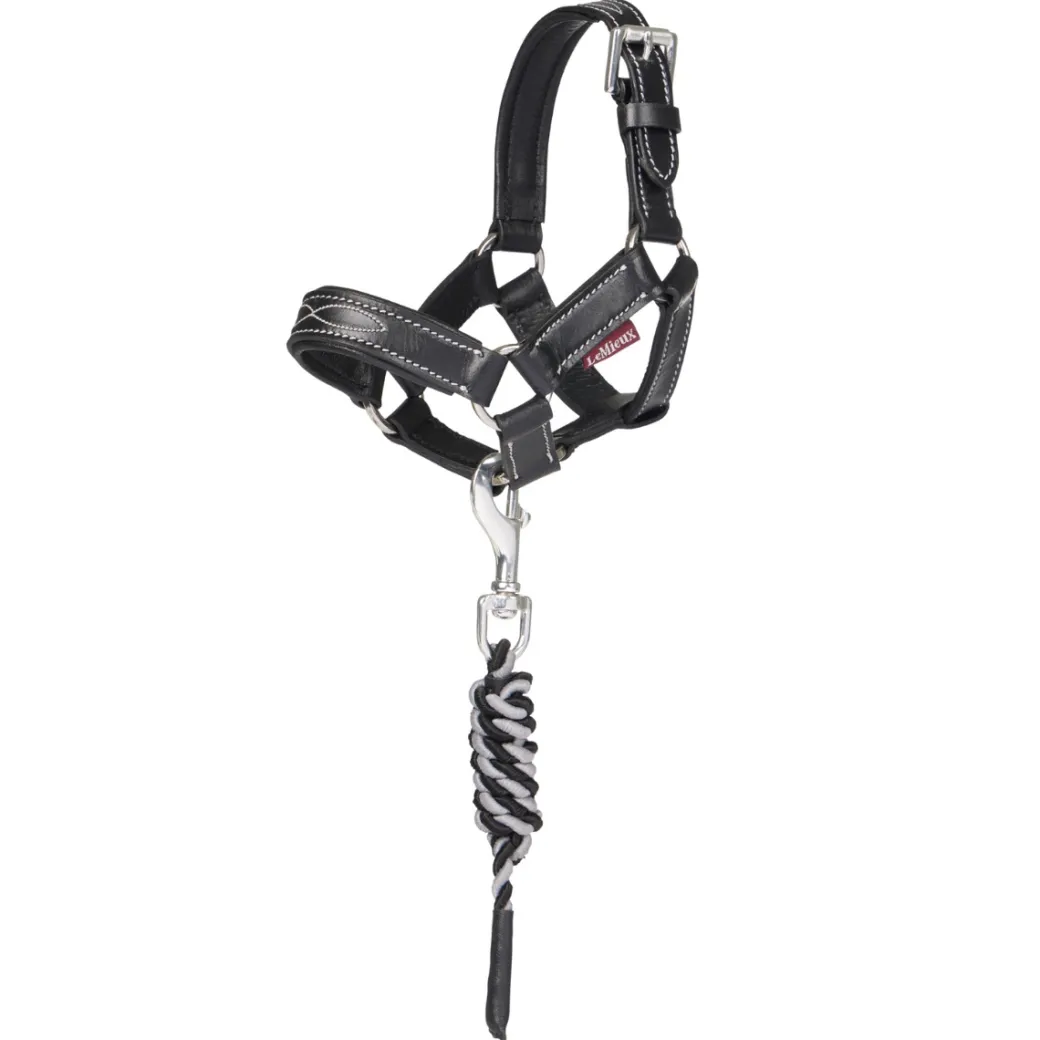 LeMieux Toy Pony Black Leather Halter & Lead