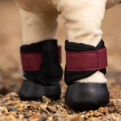 LeMieux Toy Pony Brushing Boots