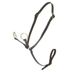 LeMieux Toy Pony Martingale