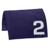 LeMieux Toy Pony Racing Cloth & Hood