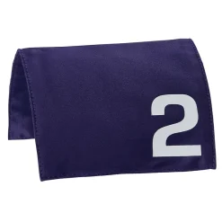 LeMieux Toy Pony Racing Cloth & Hood