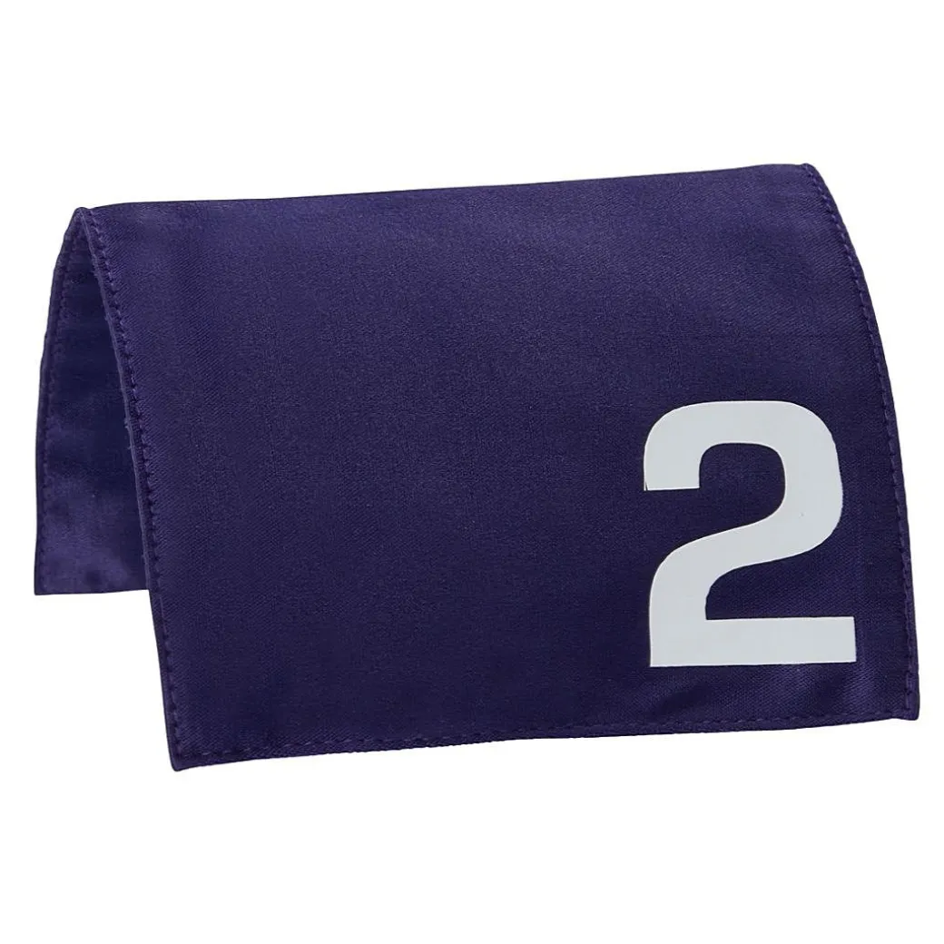 LeMieux Toy Pony Racing Cloth & Hood