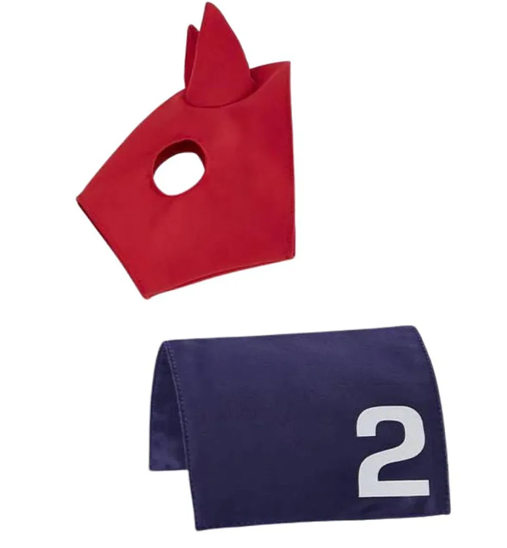 LeMieux Toy Pony Racing Cloth & Hood