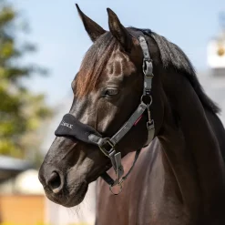 LeMieux Vogue Halter and Lead Rope