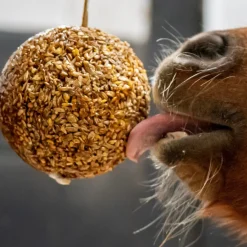 Likit Granola Stall Ball