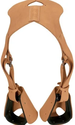 Lil Dude Stirrups by Weaver
