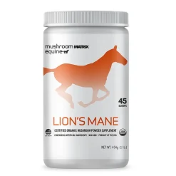 Lion's Mane Equine Matrix