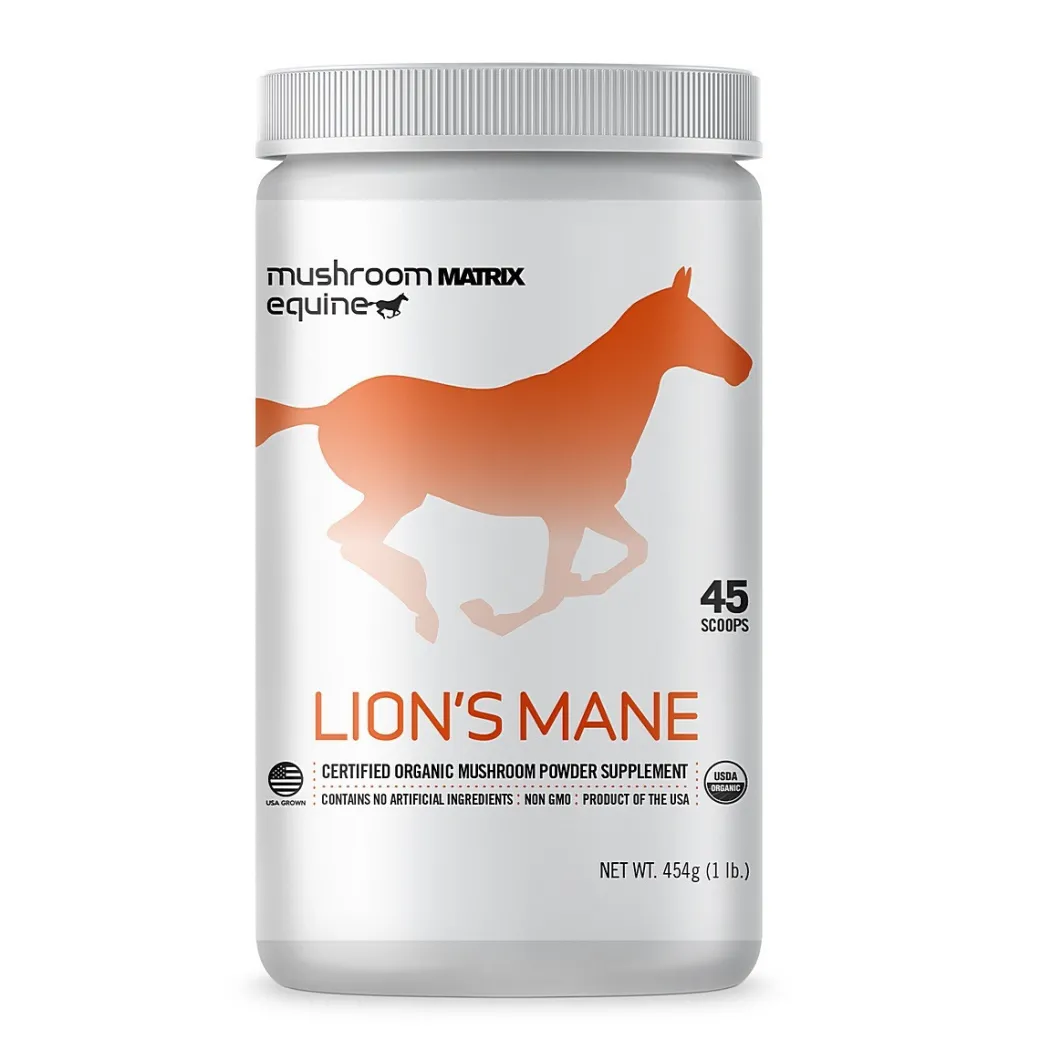 Lion's Mane Equine Matrix
