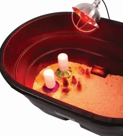 Little Giant 10.5" Brooder Reflector Lamp
