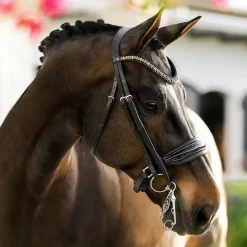 Lumiere Ariana Double Bridle
