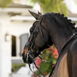 Lumiere Ariana Double Bridle