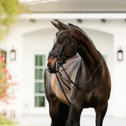 Lumiere Ariana Double Bridle