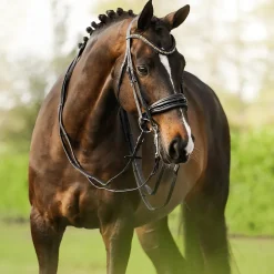 Lumiere Ariana Double Bridle