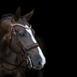 Lumiere Athens Luxury Double Bridle