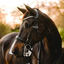 Lumiere Athens Luxury Double Bridle