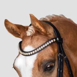 Lumiere Athens Luxury Double Bridle