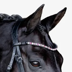 Lumiere Paloma Bridle