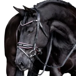 Lumiere Paloma Bridle