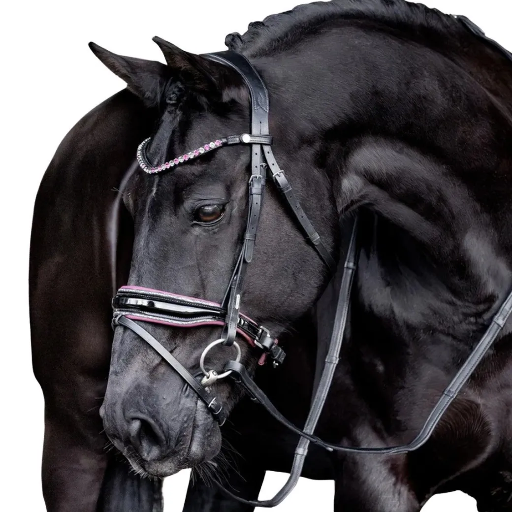 Lumiere Paloma Bridle