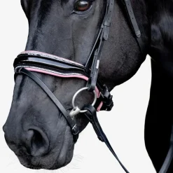 Lumiere Paloma Bridle