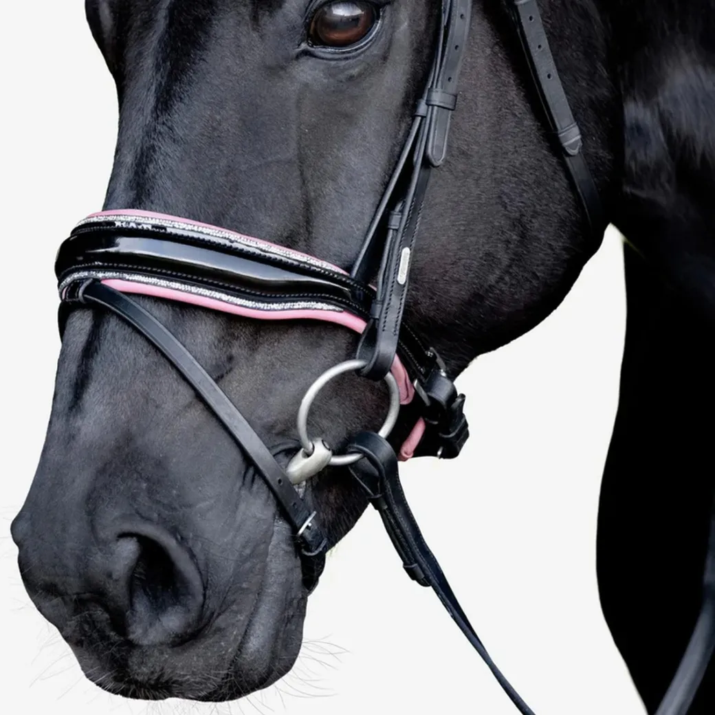 Lumiere Paloma Bridle