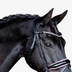 Lumiere Paloma Bridle