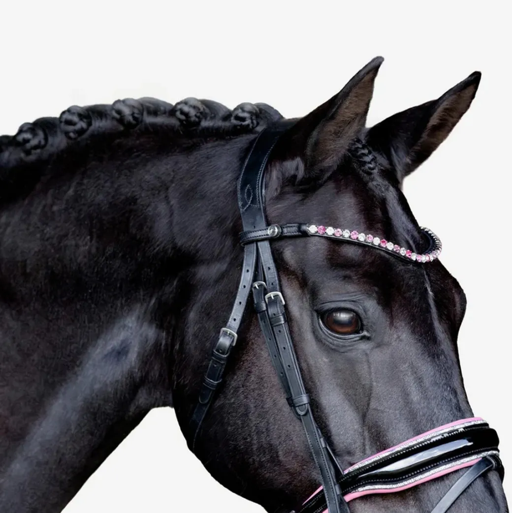 Lumiere Paloma Bridle