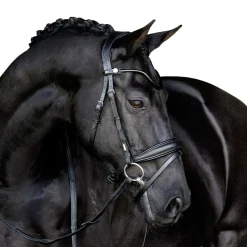 Lumiere Penny Bridle