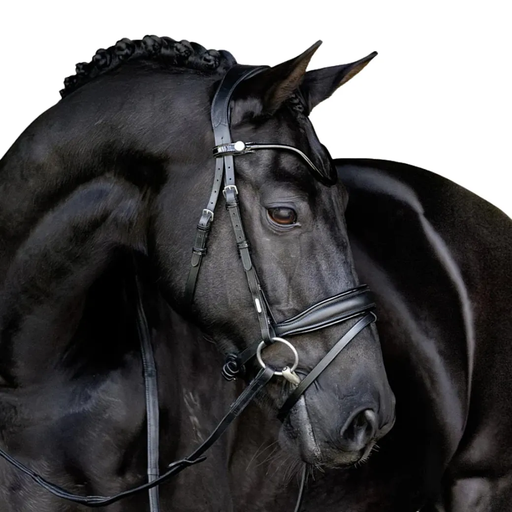 Lumiere Penny Bridle