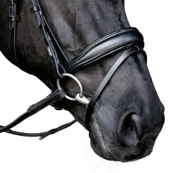 Lumiere Penny Bridle