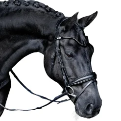 Lumiere Penny Bridle