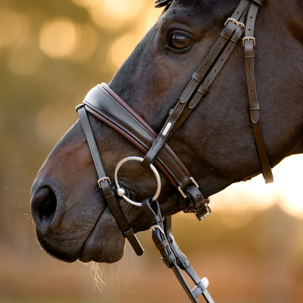 Lumiere Pippa Bridle