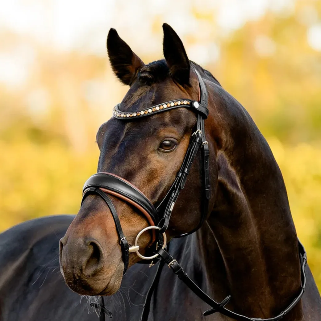 Lumiere Pippa Bridle