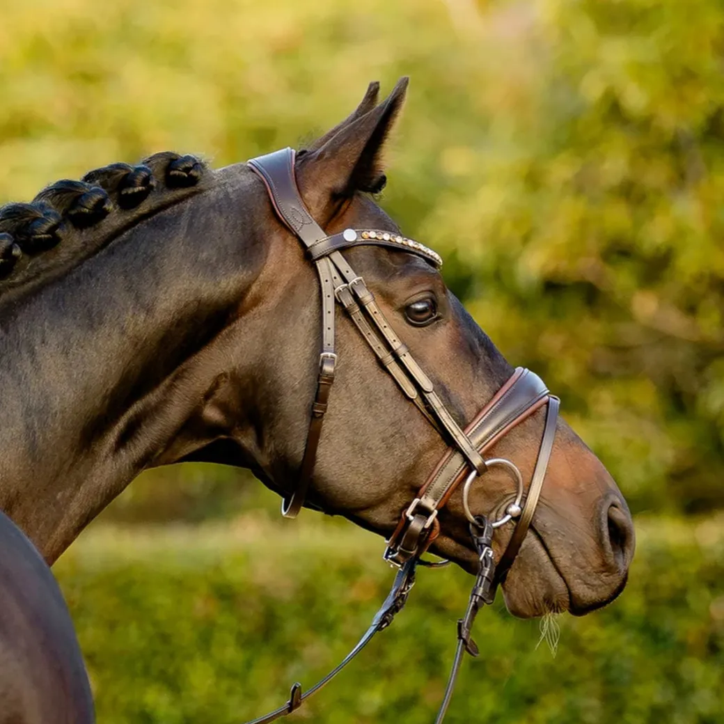 Lumiere Pippa Bridle